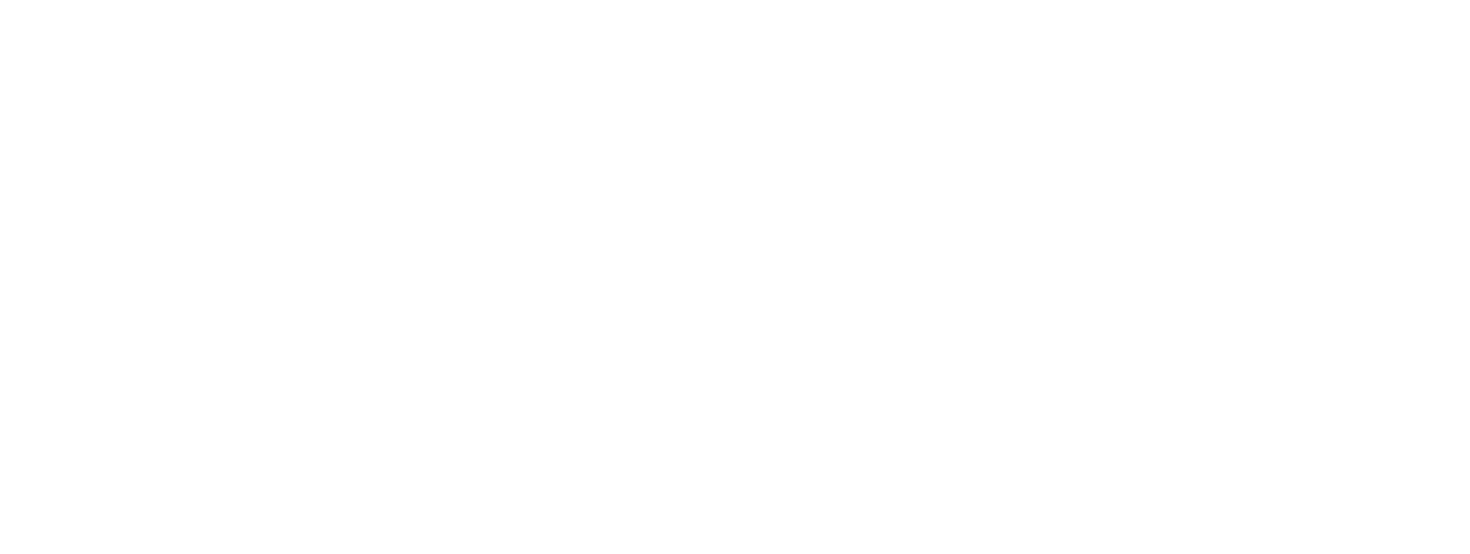 falconsdream